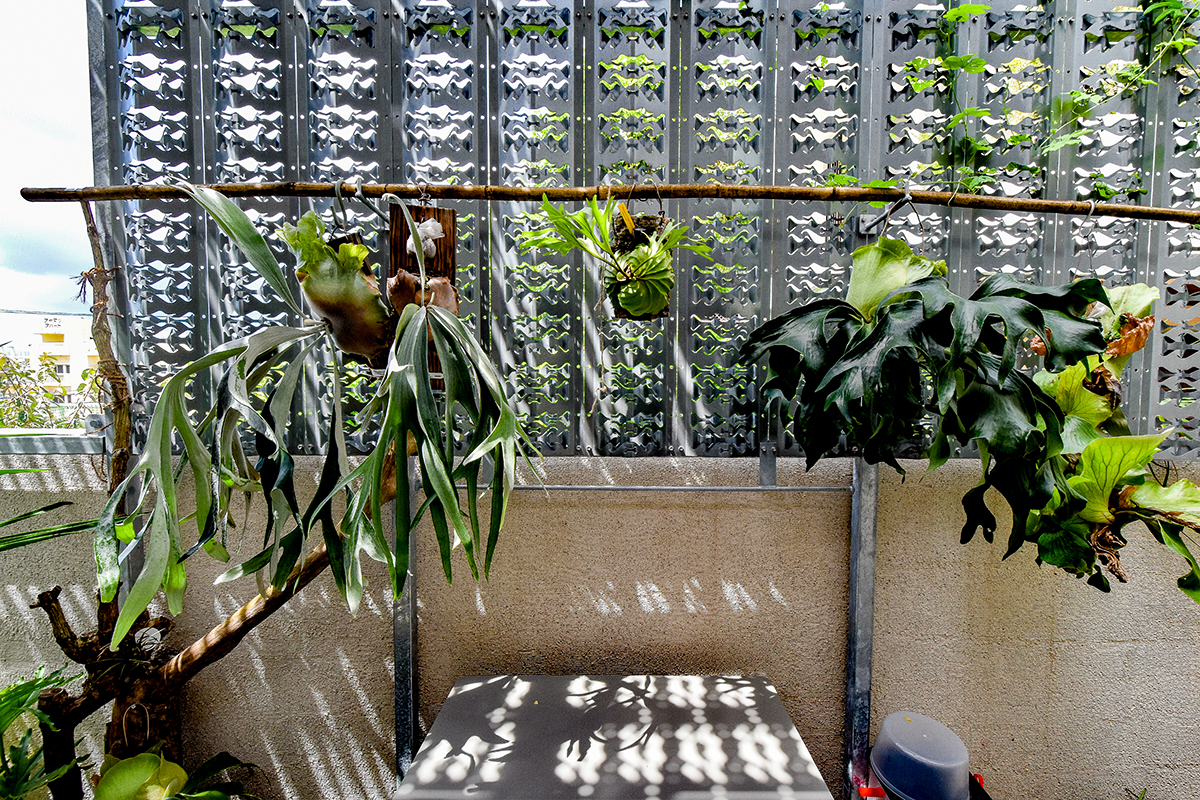 フラクタル製品